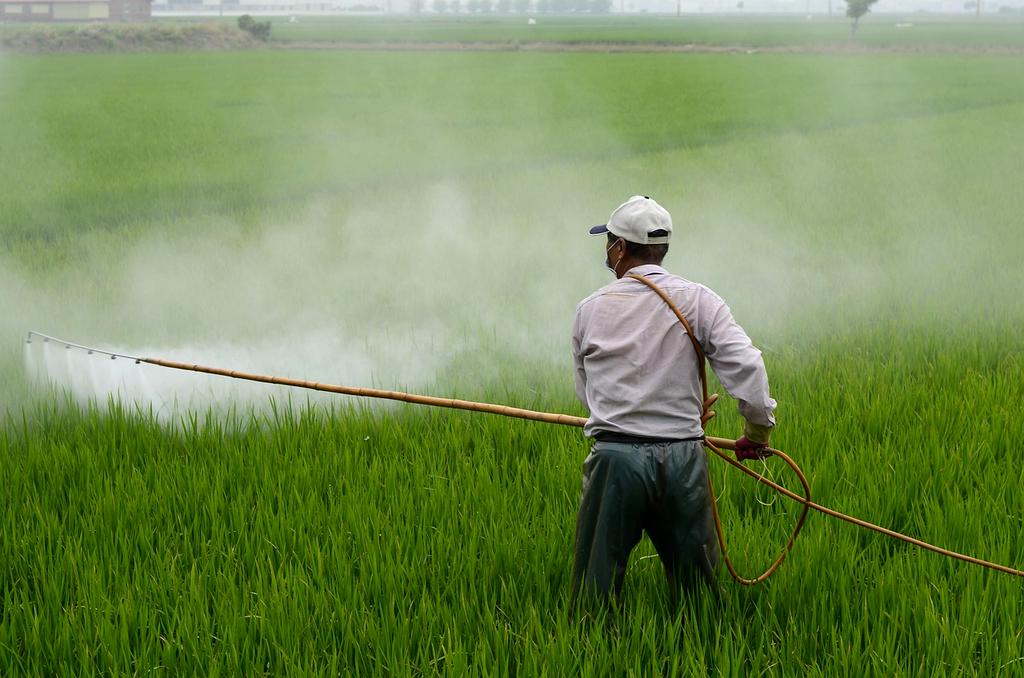 Comparison of resilient and non-resilient crops during drought