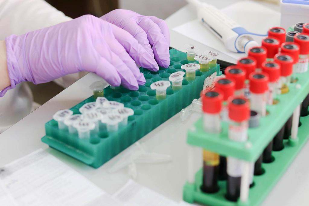 Scientists conducting research with dogs